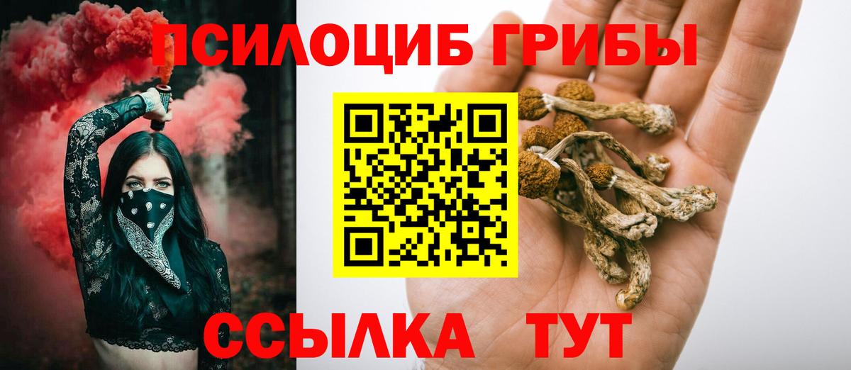Галлюциногенные грибы прущие грибы  где продают наркотики  Вход с VPN  Вышний Волочёк  Псилоцибиновые грибы прущие грибы 